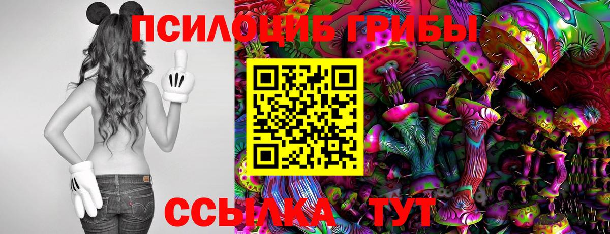 Галлюциногенные грибы Magic Shrooms Ахтубинск