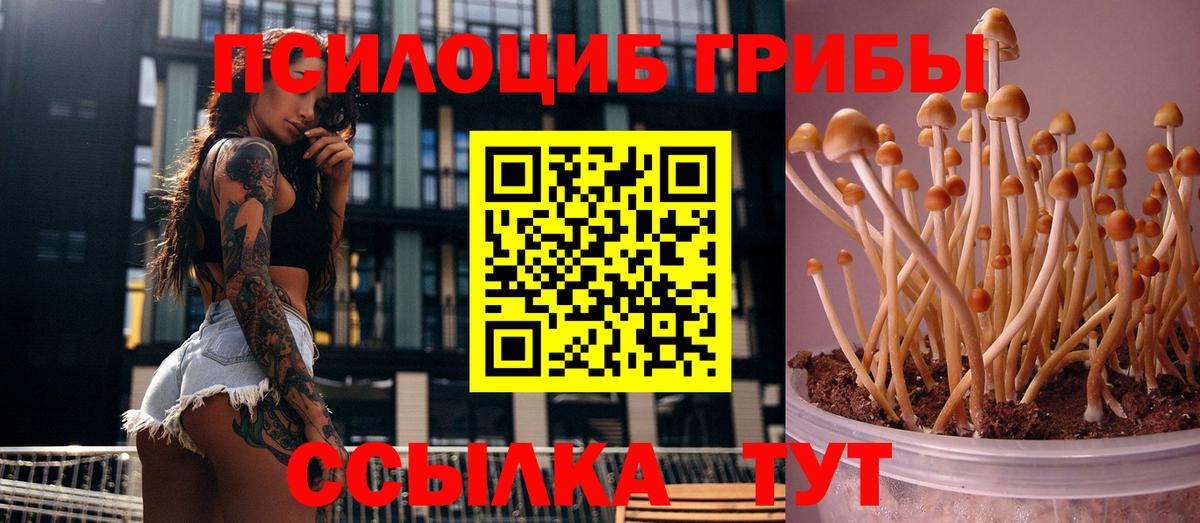 Псилоцибиновые грибы прущие грибы  Вход с VPN  Ахтубинск 